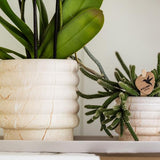 Combi deal - Pots Marble Light