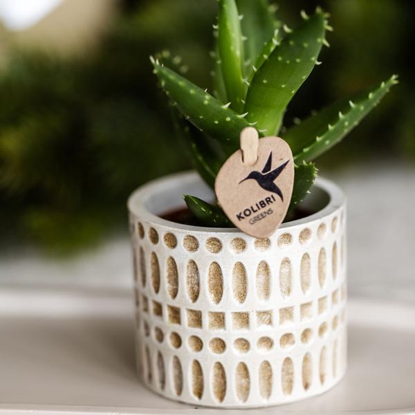 Mozaïek sierpot - Ø6cm