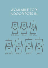 Self Watering Insert - Ø24cm