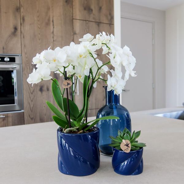 Kolibri Home | Candy Zierpot - Blau - Ø6cm