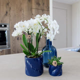 Kolibri Home | Candy Zierpot - Blau - Ø6cm