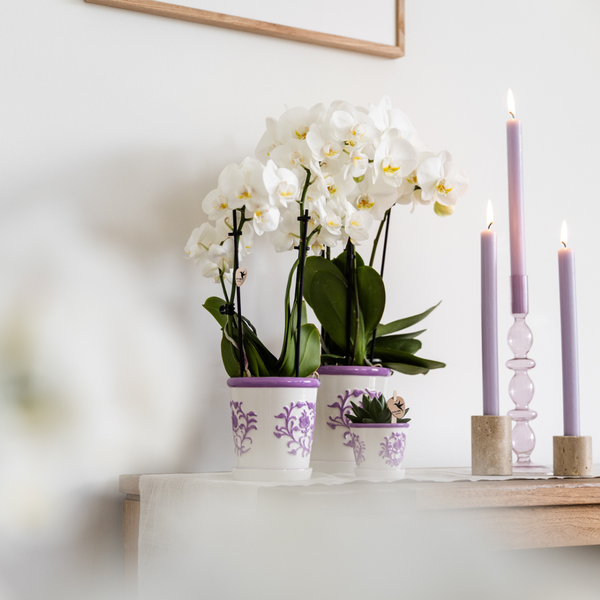 Malaga pot - Lilac - Ø12cm