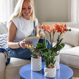 Candy sierpot - Hoog - Wit - Ø6cm