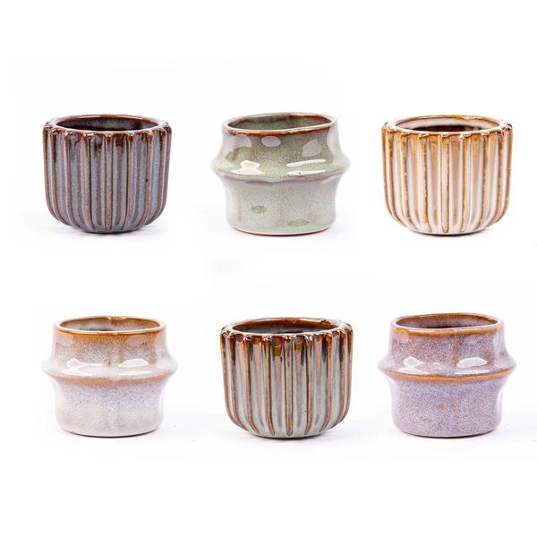 Mini planten set x6 - Incl. potten