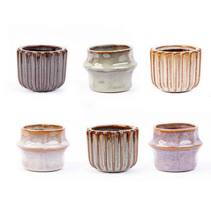 Mini planten set x6 - Incl. potten
