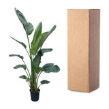 Strelitzia Nicolai XXL - ↕220cm - Ø27cm