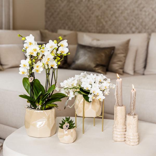 Pearl pot - Travertine - Ø12cm