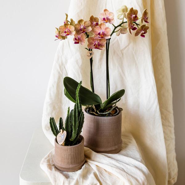 Bali sierpot  - Sand - Ø9cm