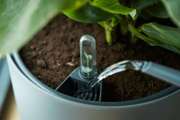 Self Watering Insert - Ø33cm