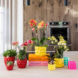 Kolibri Home | Beerentopf - 12cm