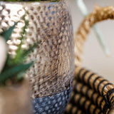 Gift set Home Hub | Plantenset met Phalaenopsis Orchidee en Succulenten incl. keramieken sierpotten