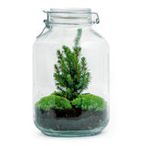 DIY - Kerst terrarium ↕28cm  -  Ø18cm
