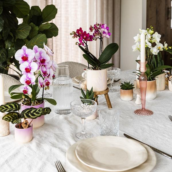 Gradience sierpot - Pink - Ø6cm